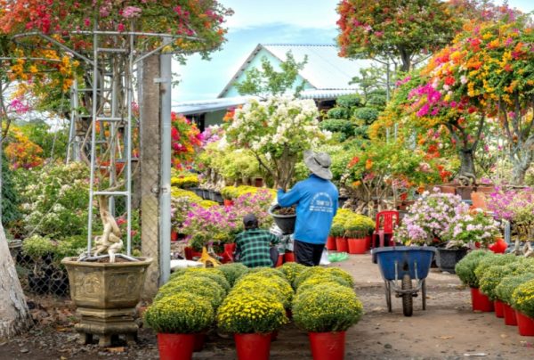Maximising Efficiency with Forklifts in Your Garden Centre