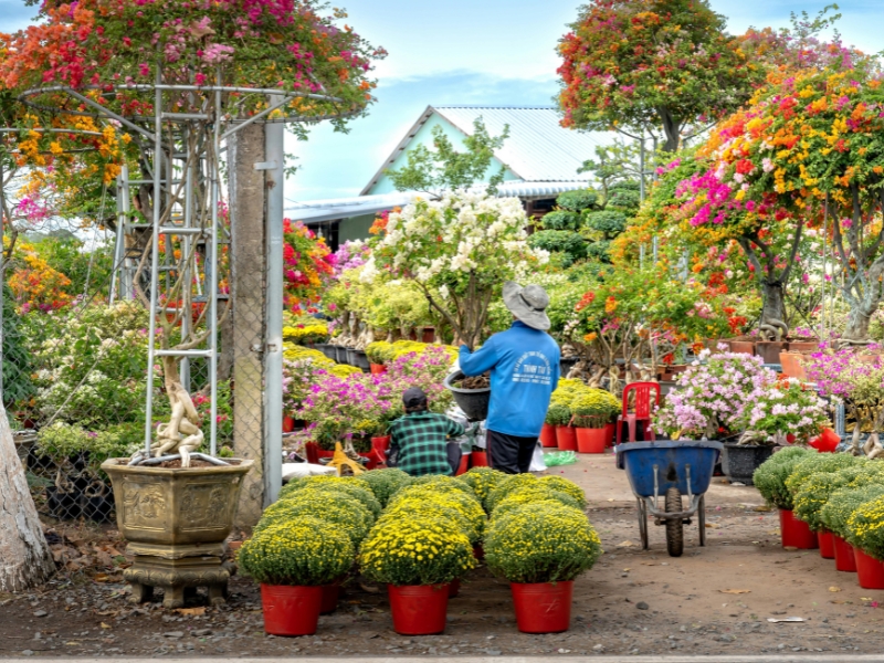 Garden Centre Forklifts From Hawthorne FTS